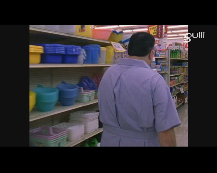 Le tribunal des animaux