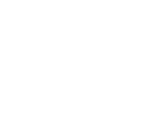 Le festival de Noël