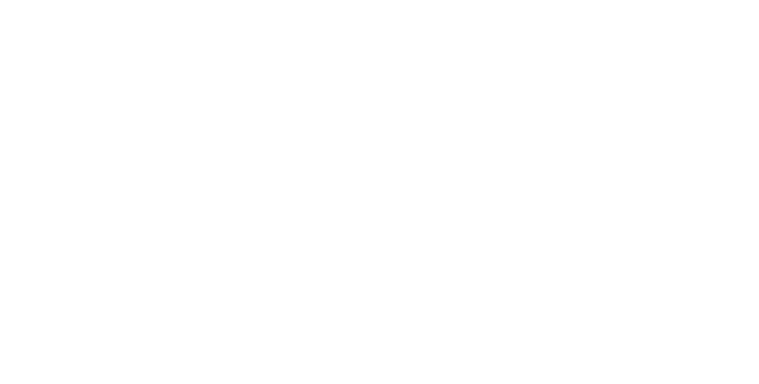 Mes fiancés de Noël