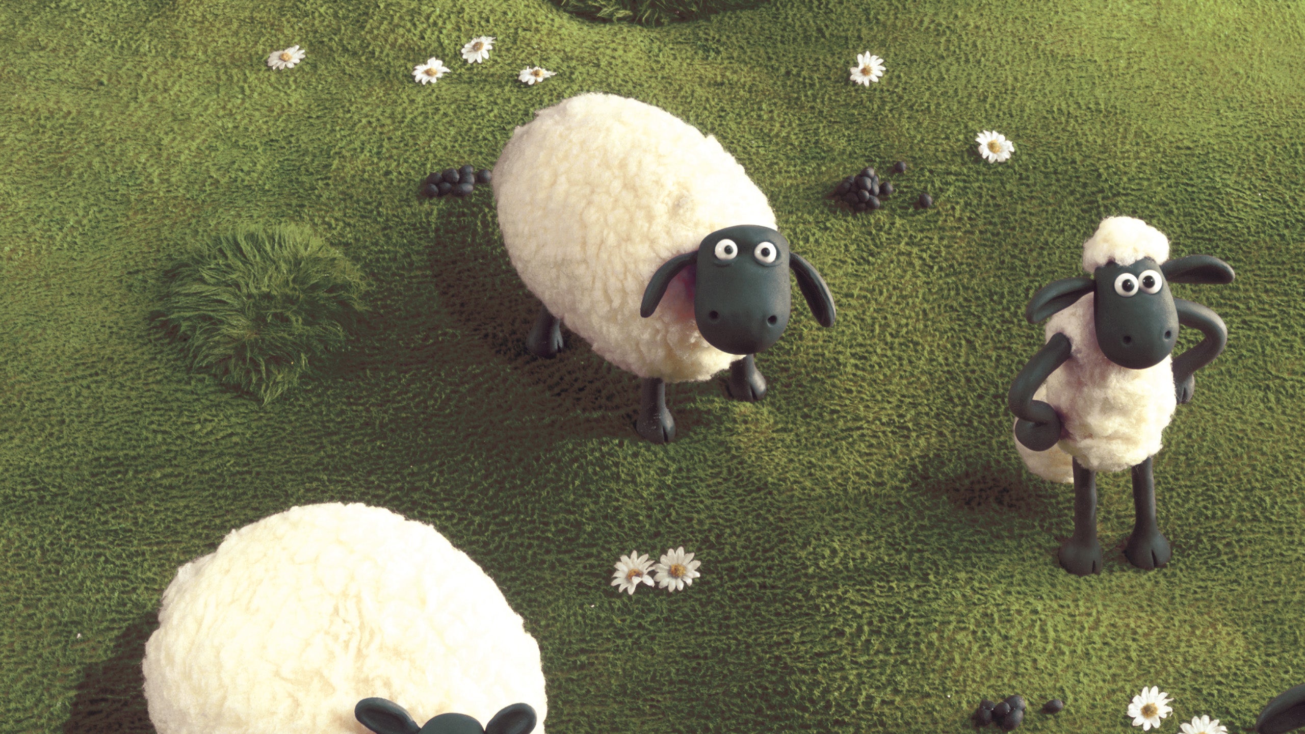 Shaun, a bárány