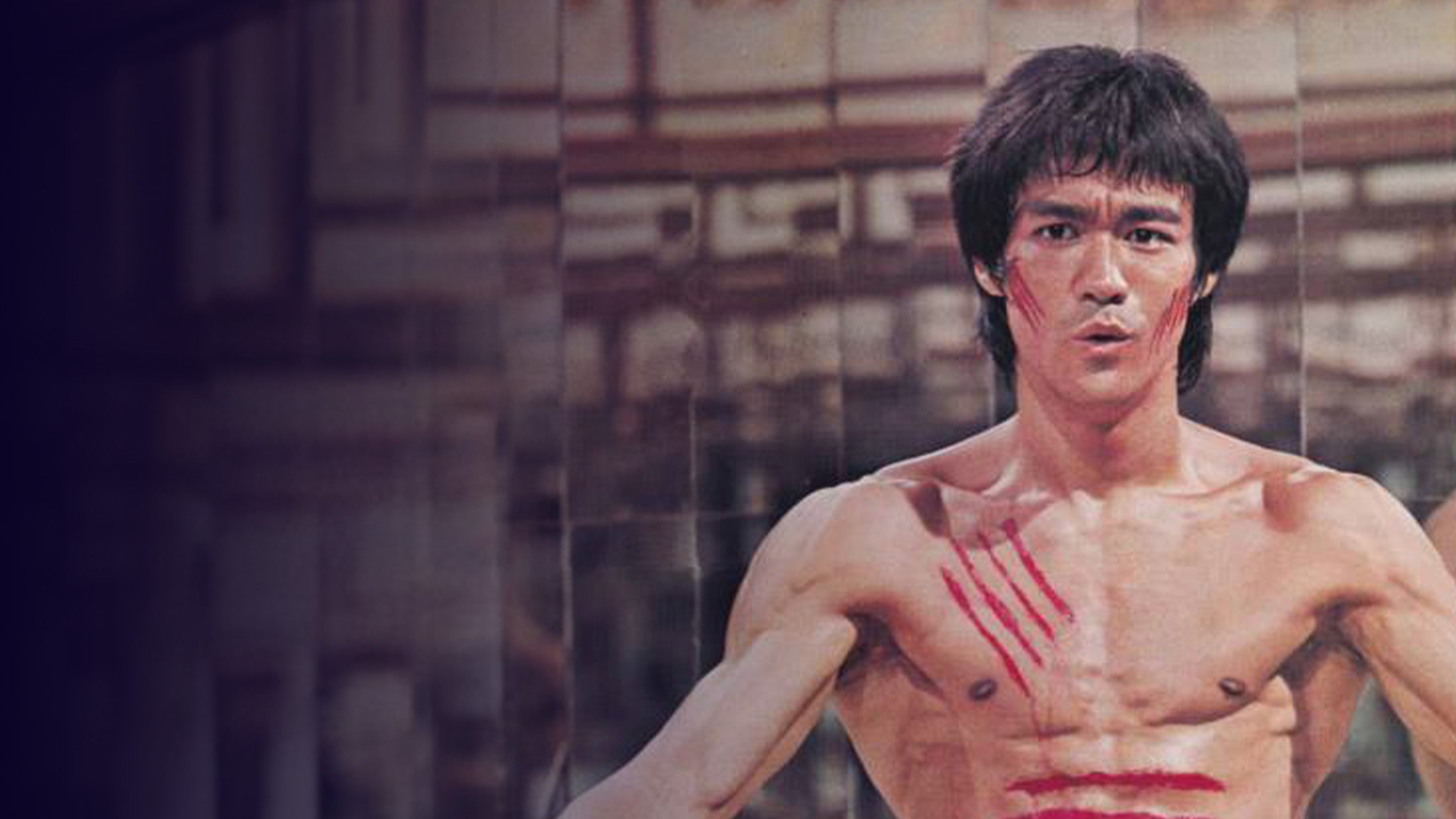 Bruce Lee : l'épopée du dragon