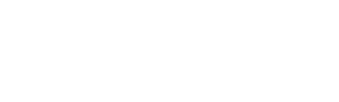 Bruce Lee : l'épopée du dragon