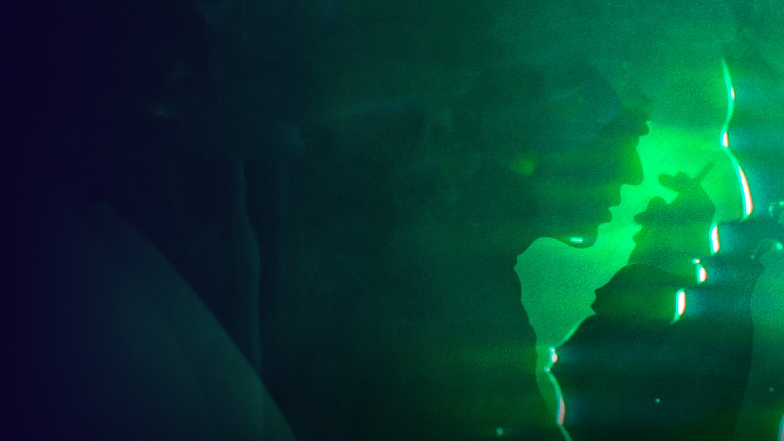 Gainsbourg, toute une vie