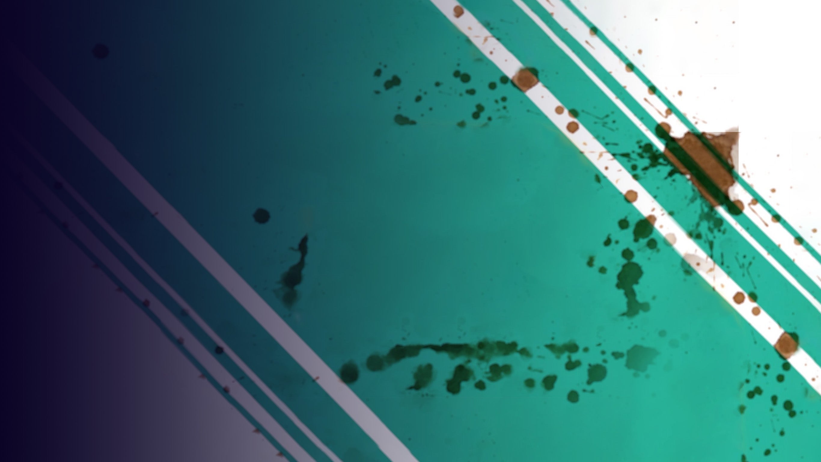 Caméra café, 20 ans après