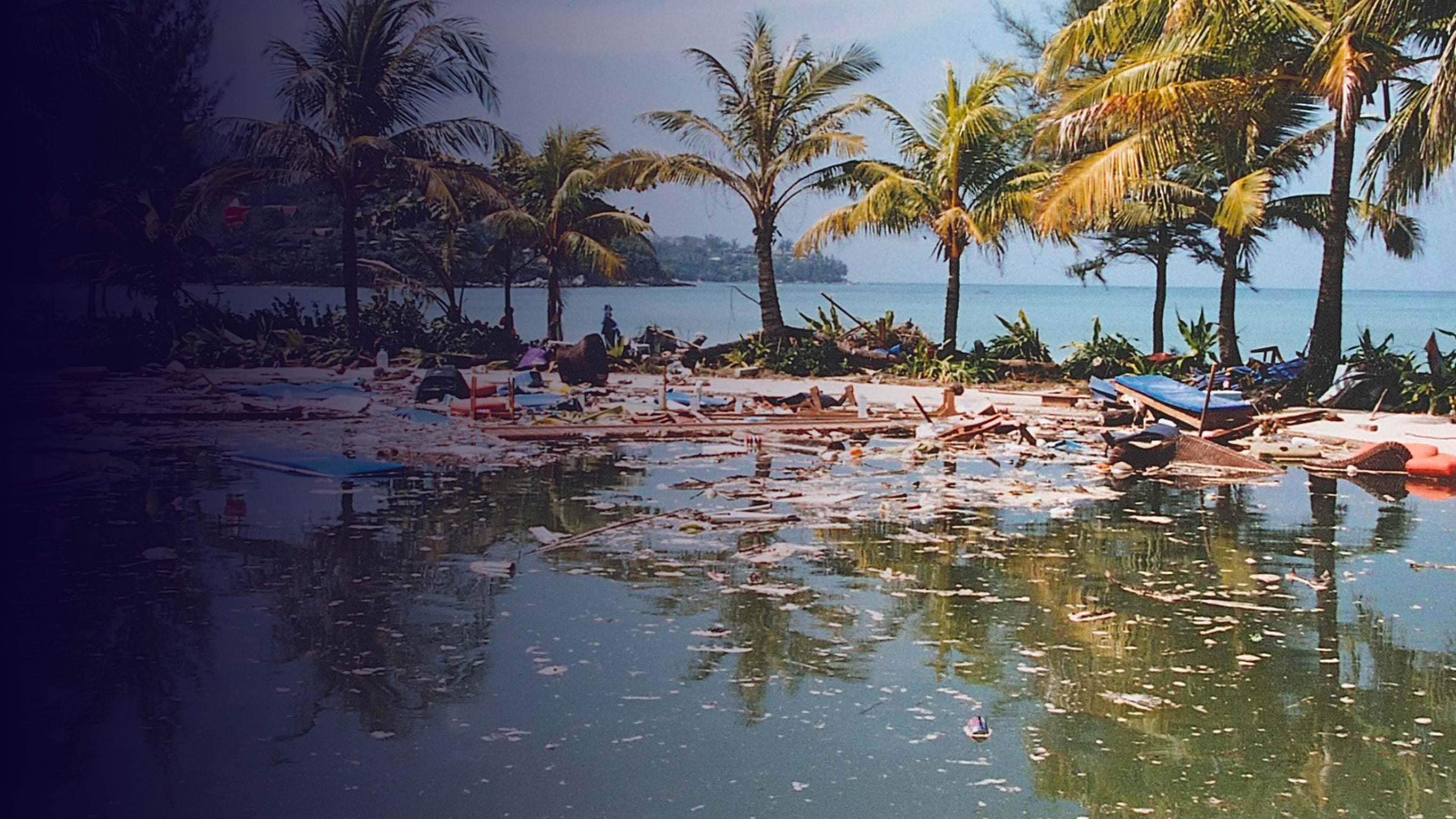 Tsunami : images intimes d'une catastrophe