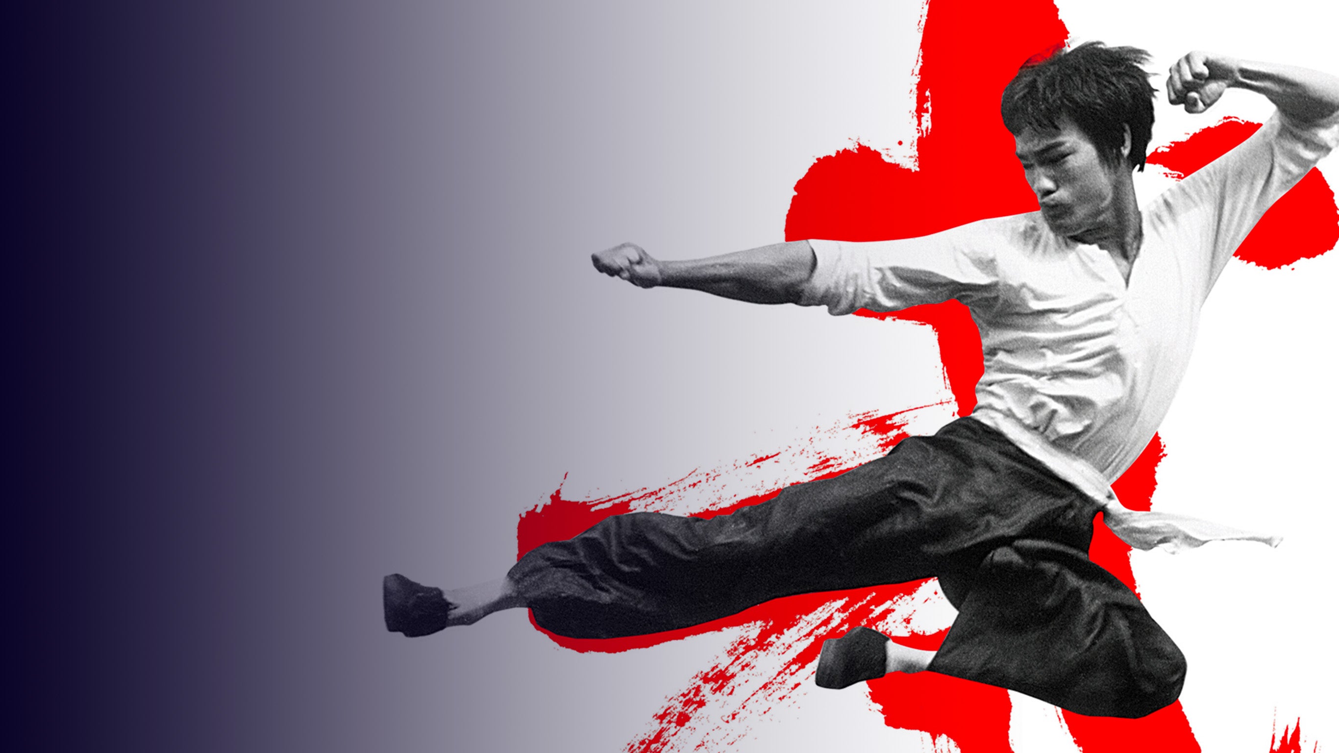 Bruce Lee : la légende du dragon