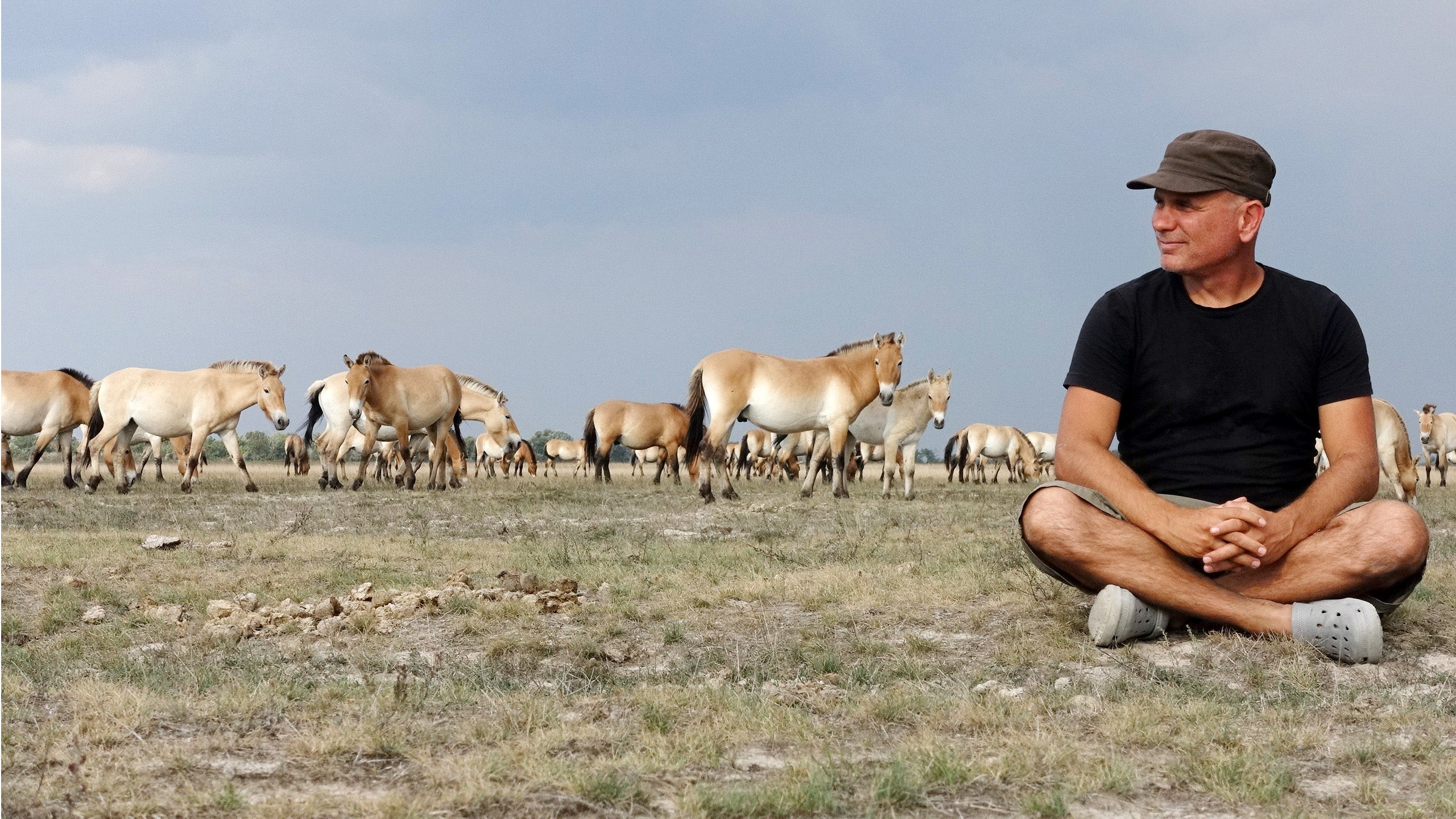 Vadlovak - Hortobágyi mese