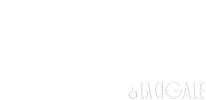 Stéphane Guillon sur scène à la Cigale