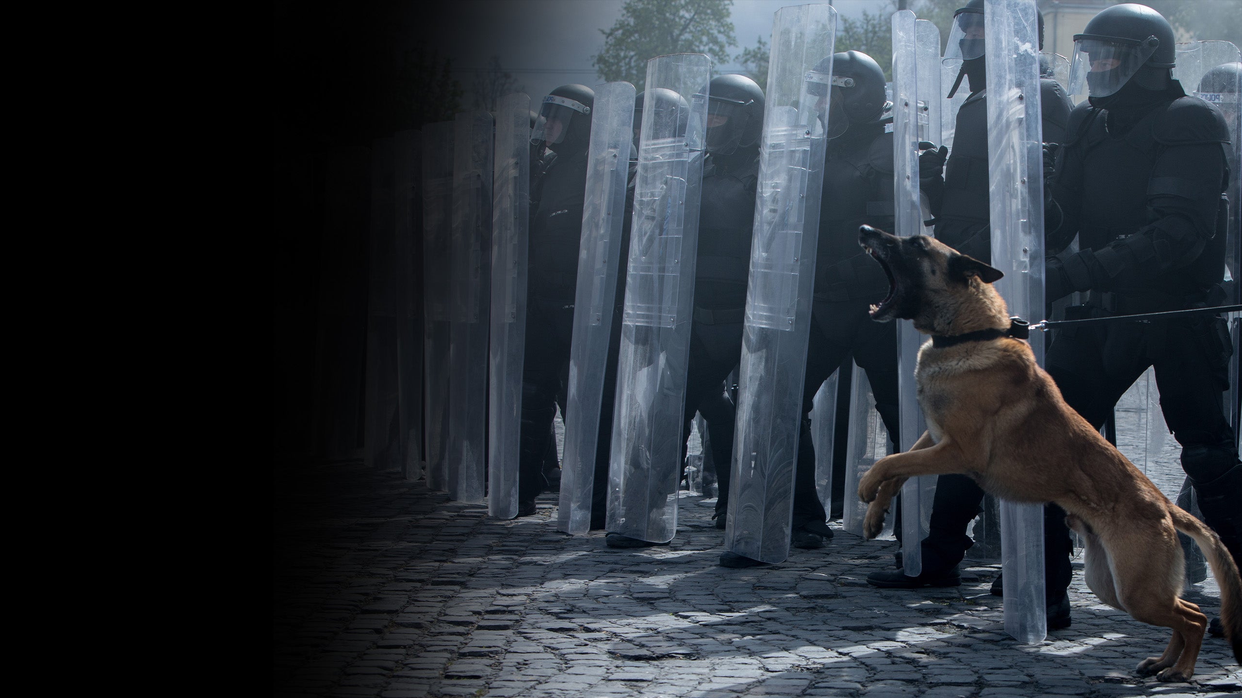 X - A rendszerből törölve