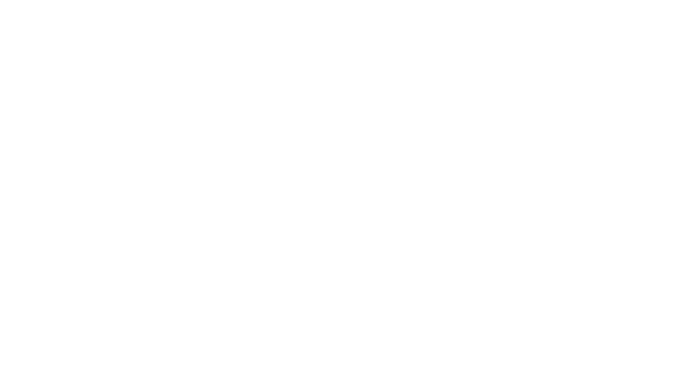 Full Metal Junkies