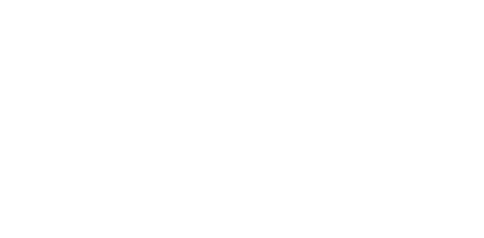 Mariée à un Jonas Brothers