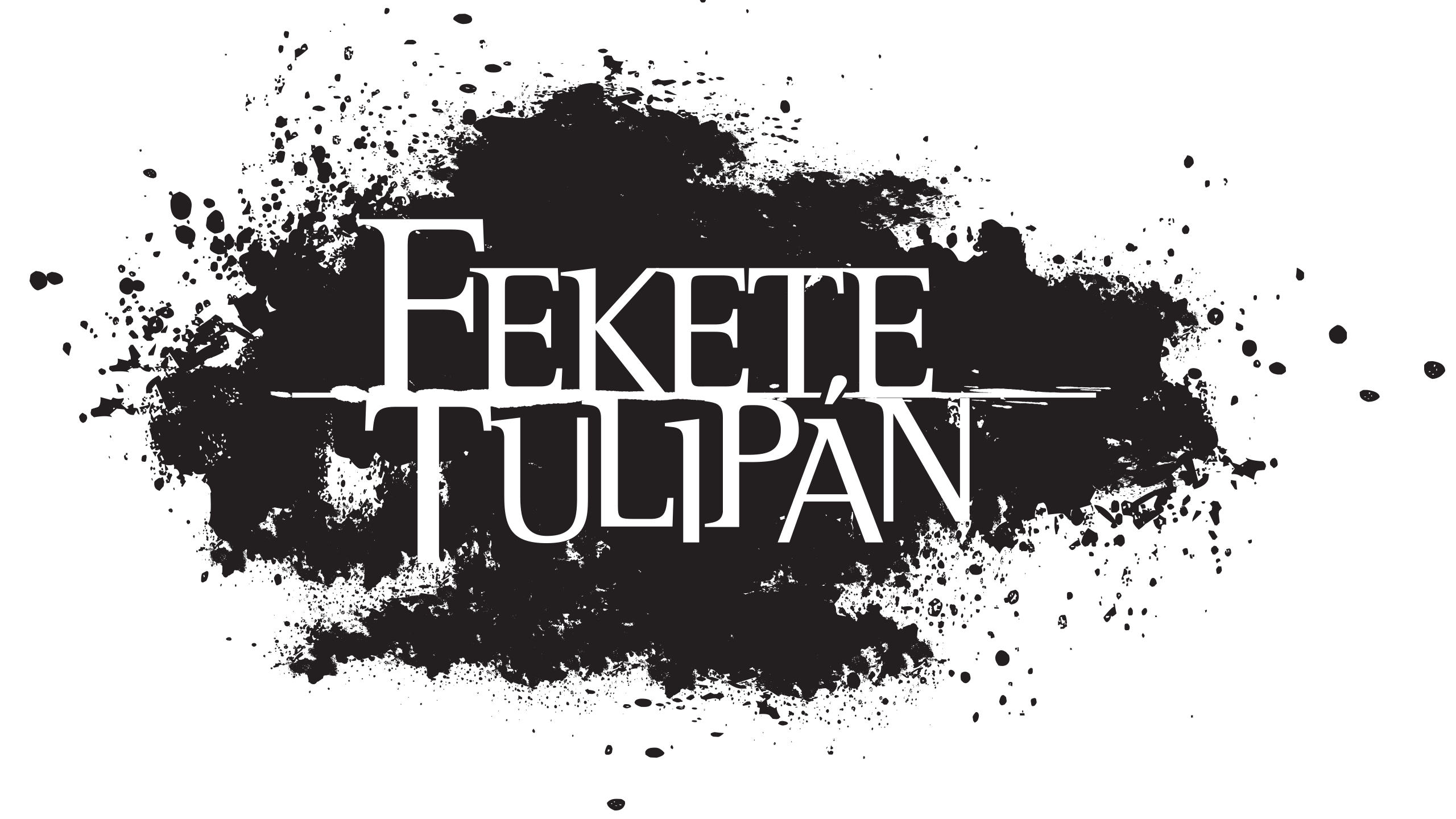 Fekete tulipán