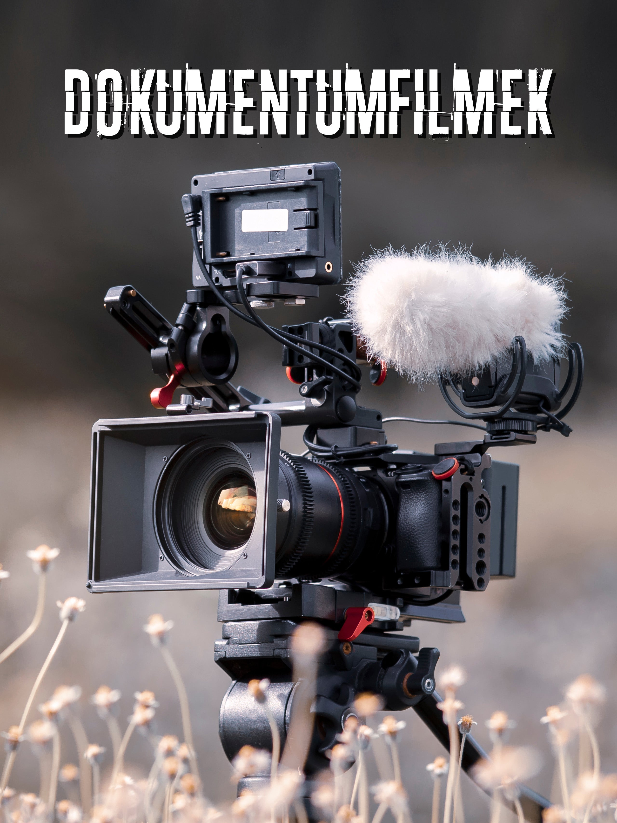 Dokumentumfilmek