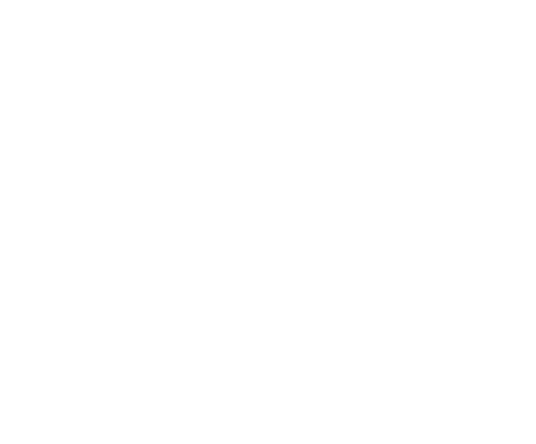 Mr. and Mrs. Smith
