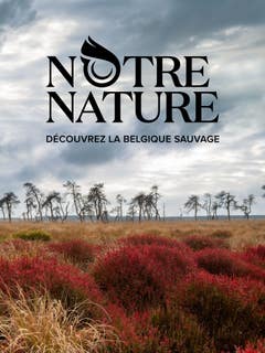 Notre nature : la Belgique sauvage
