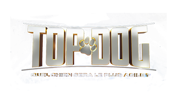 Top Dog - Quel chien sera le plus agile ?