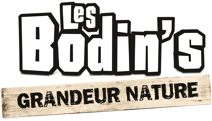 Program - logo - 13489