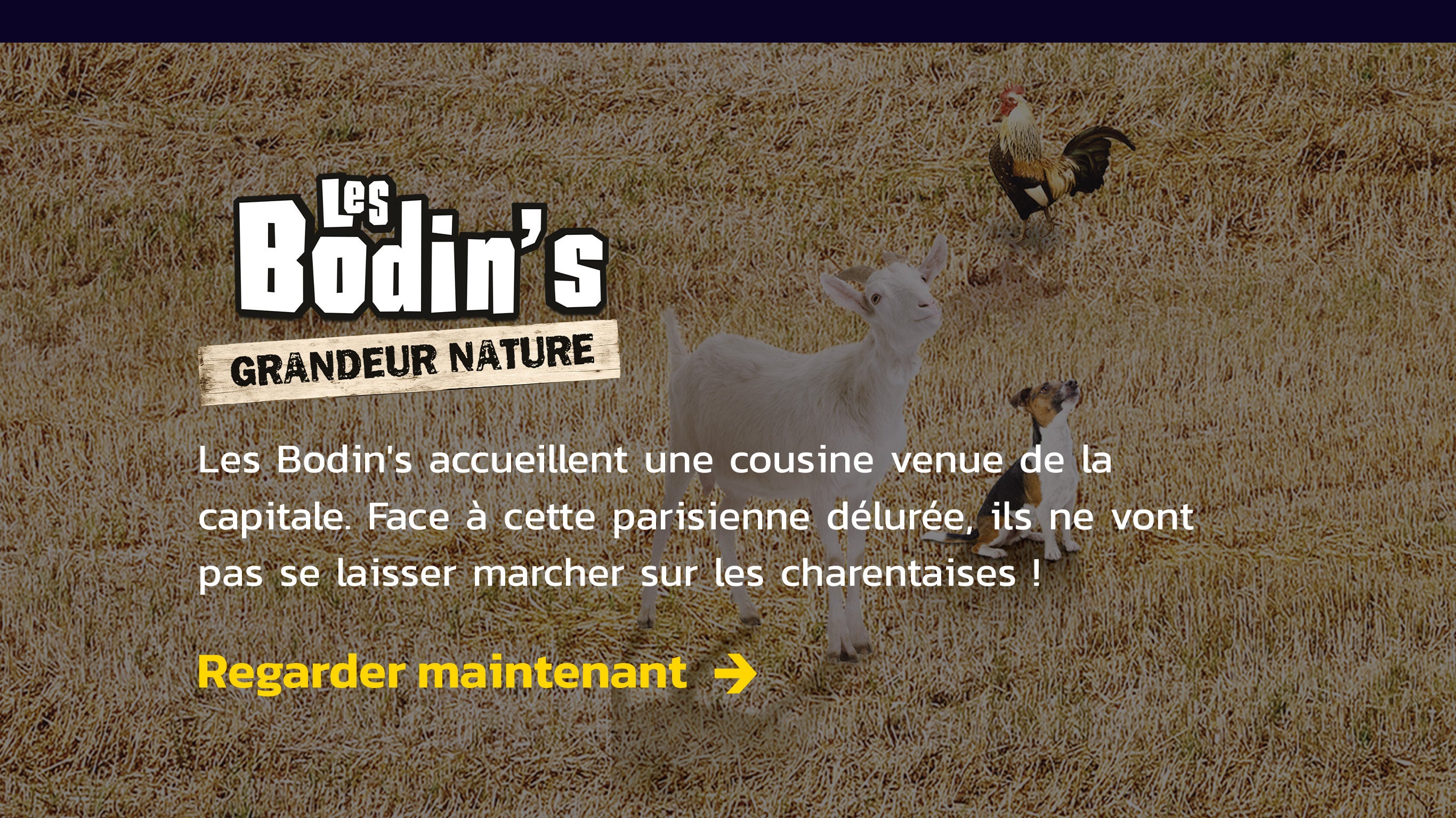 Les Bodin's Grandeur Nature Sur M6+ : Nos Programmes En Streaming