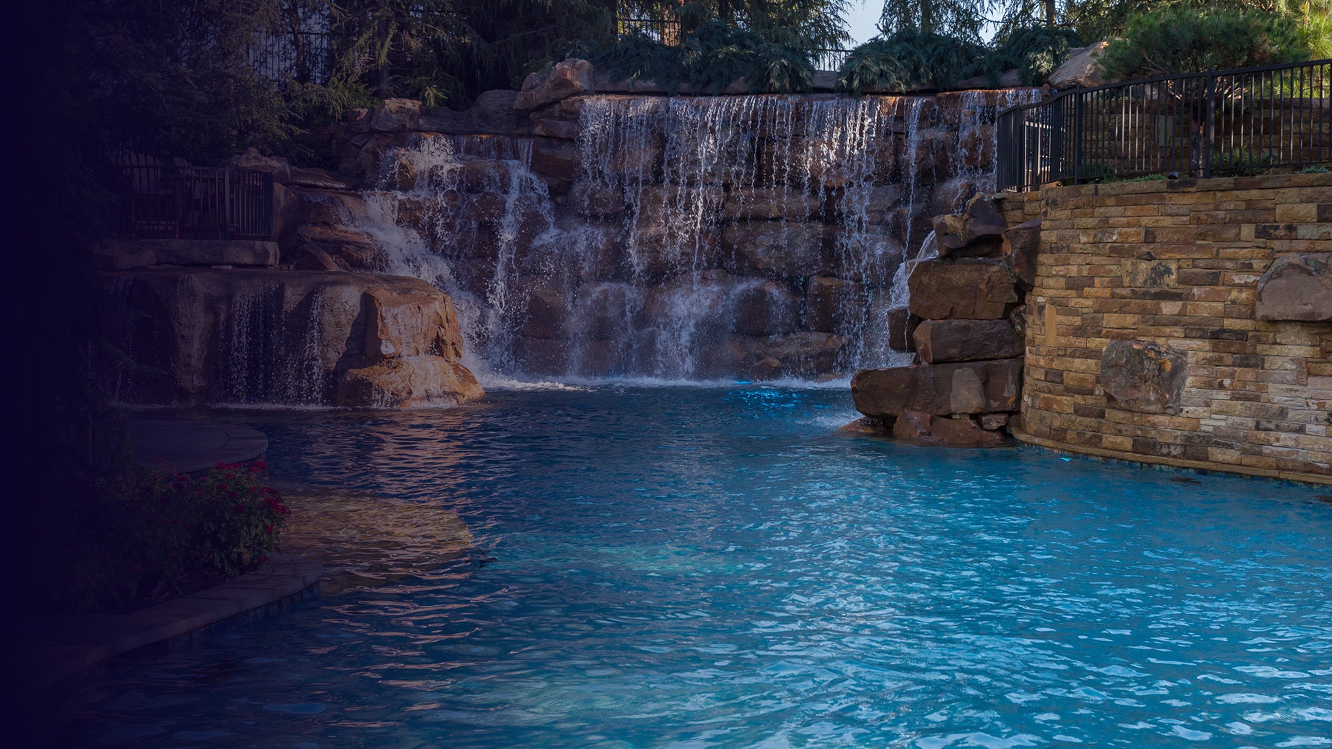 Les rois de la piscine