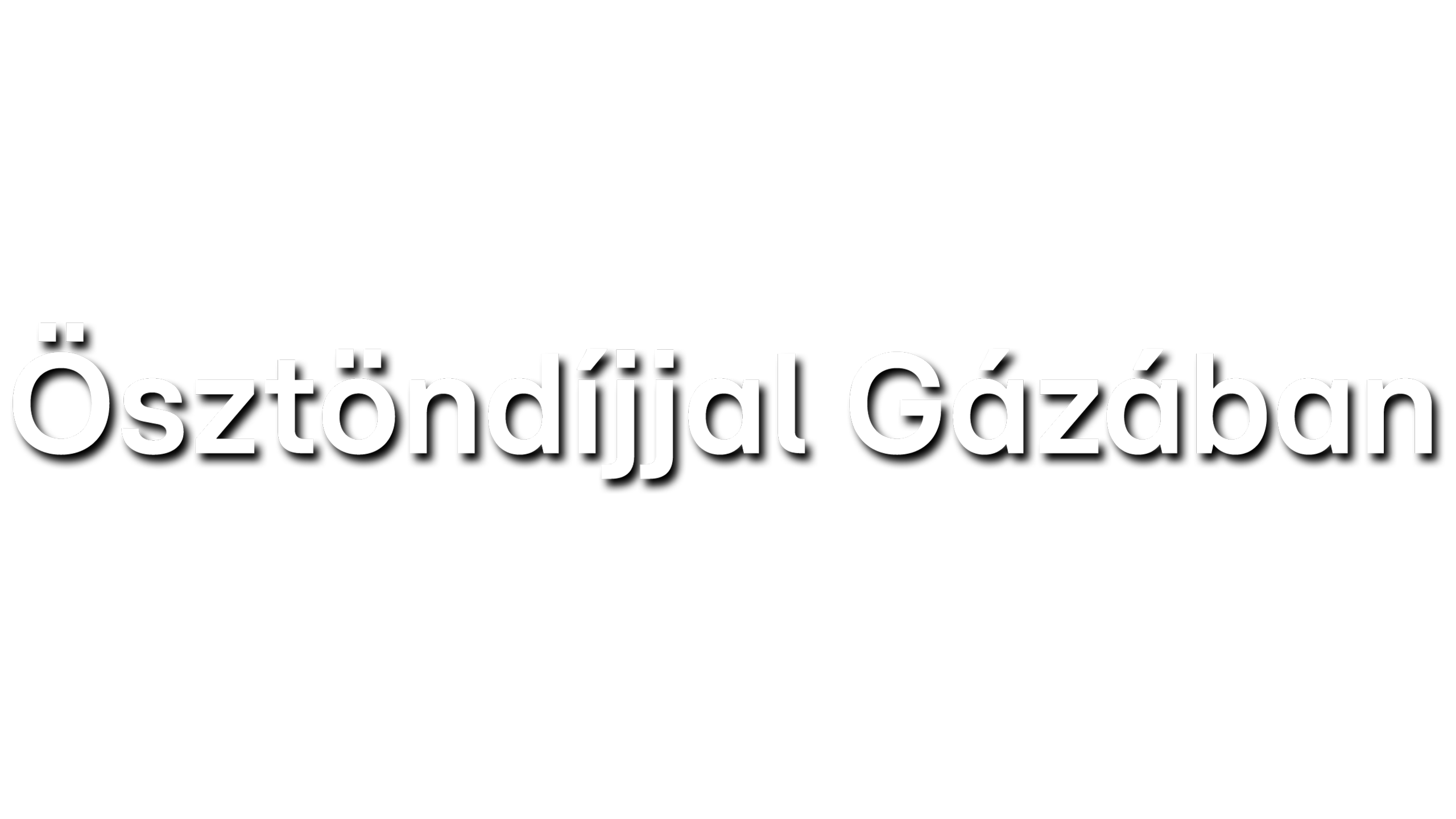 Ösztöndíjjal Gázában
