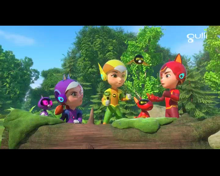 Mission : S.O.S. raton laveur