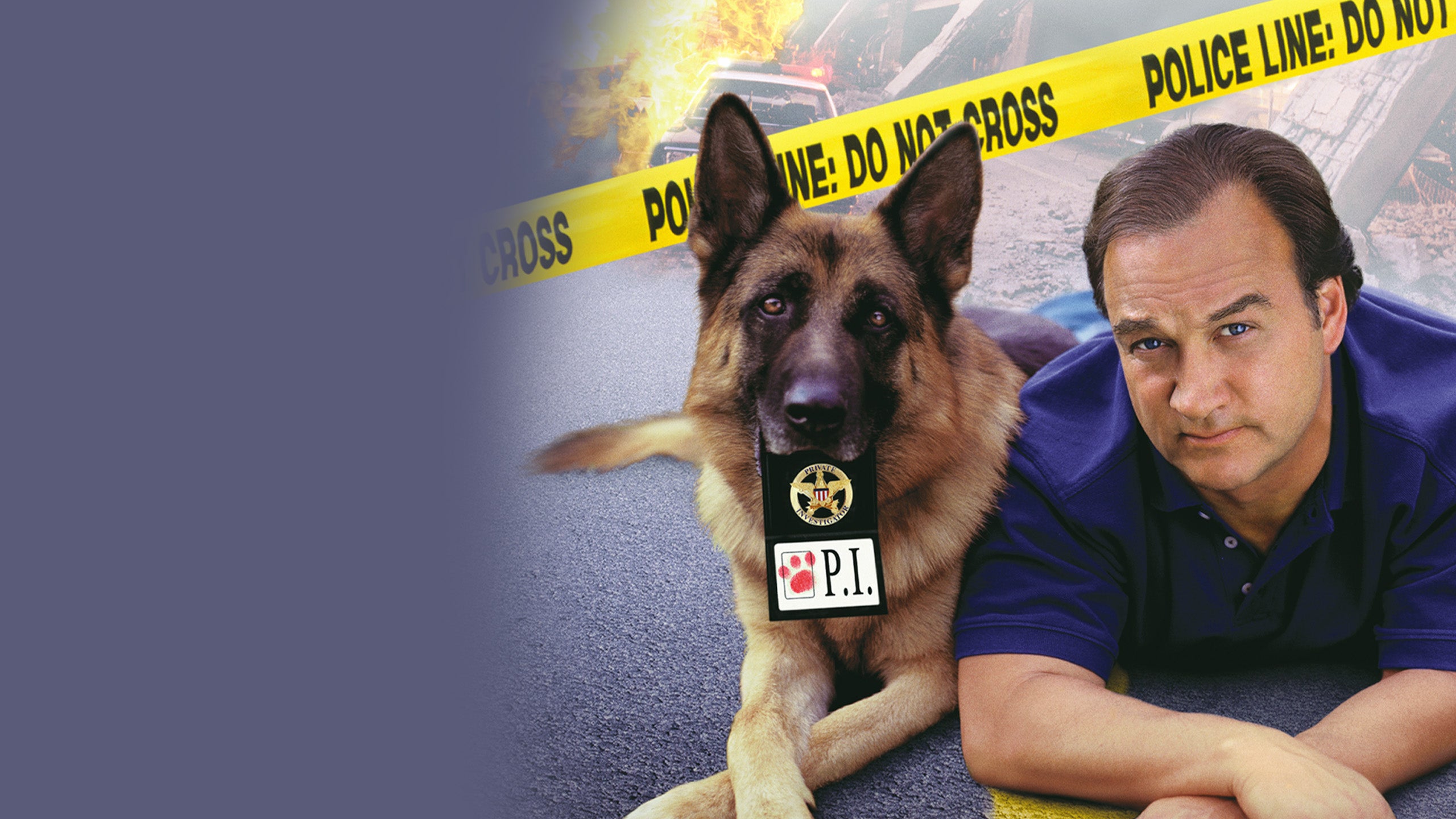 Kutyám, Jerry Lee 3.