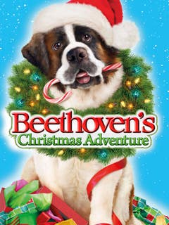 Beethoven karácsonyi kalandja