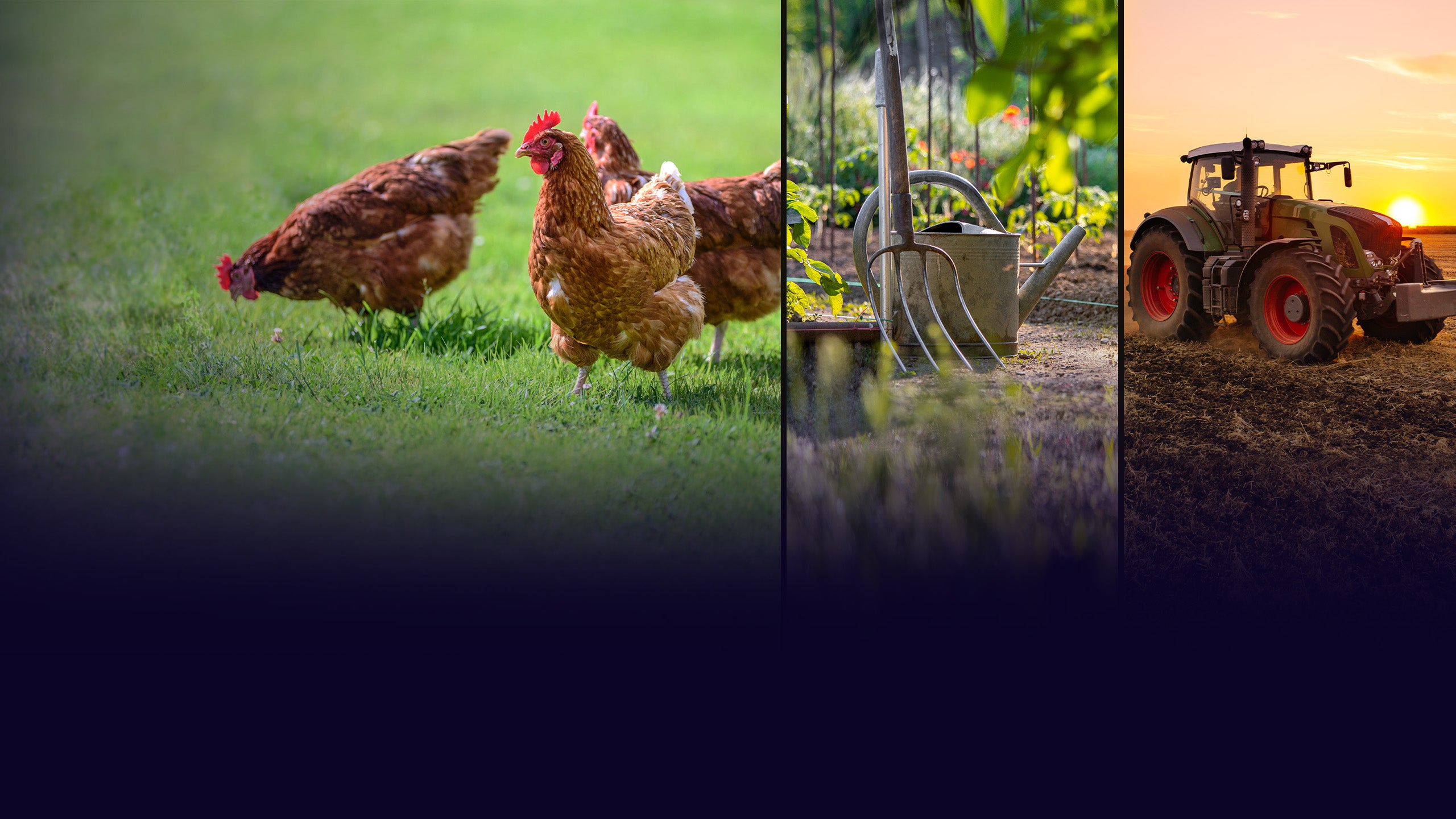 Cultivons notre avenir