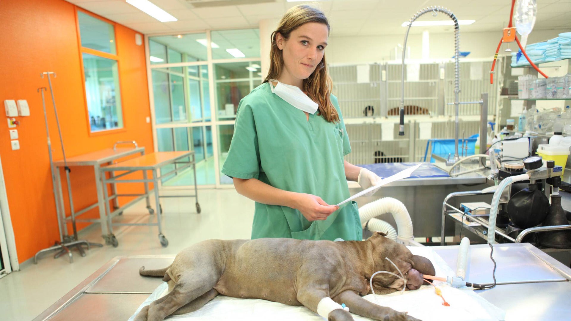 ZITA DANS LA PEAU DE...