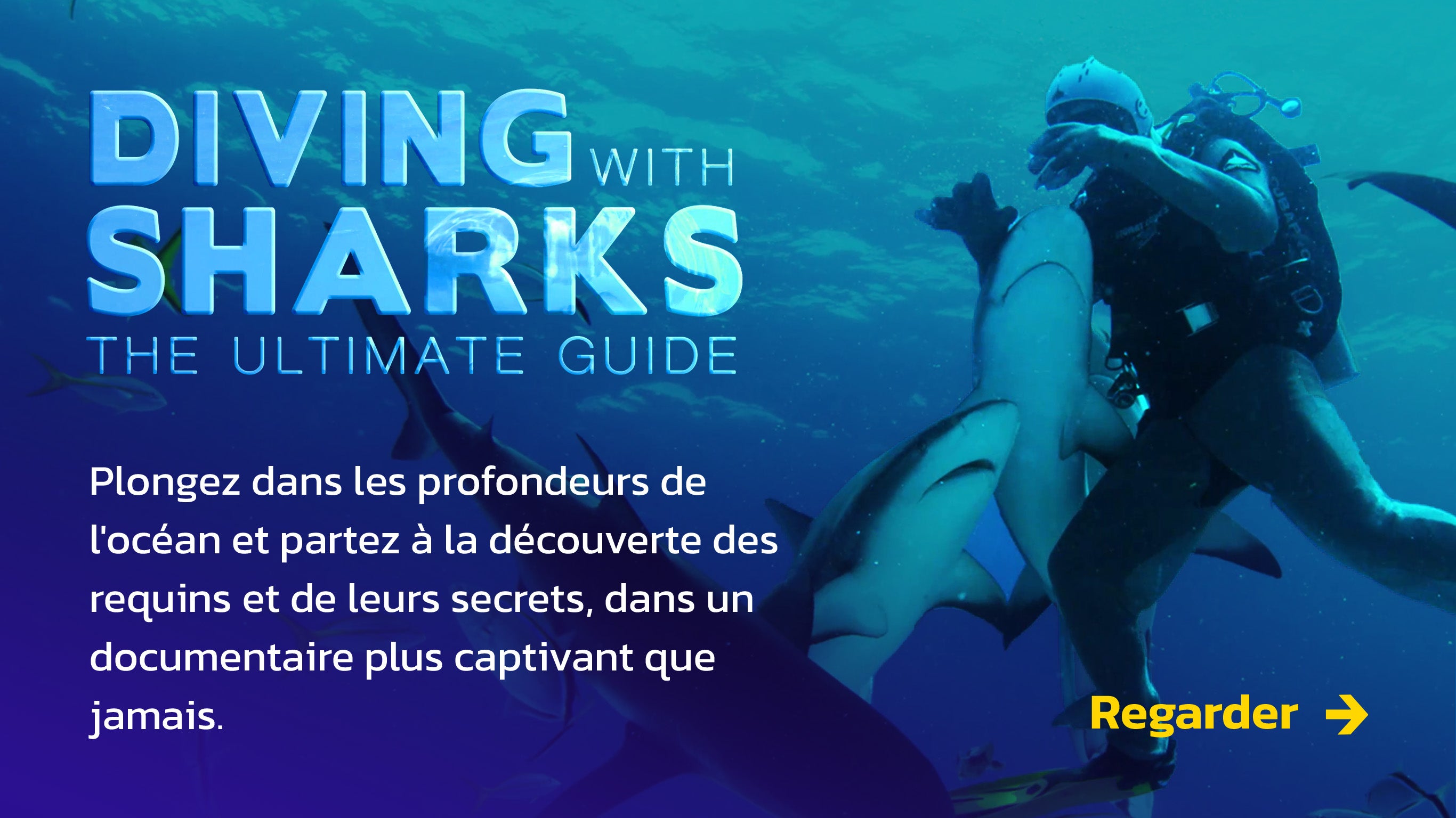 Diving with sharks the ultimate guide sur 6play Replay en streaming