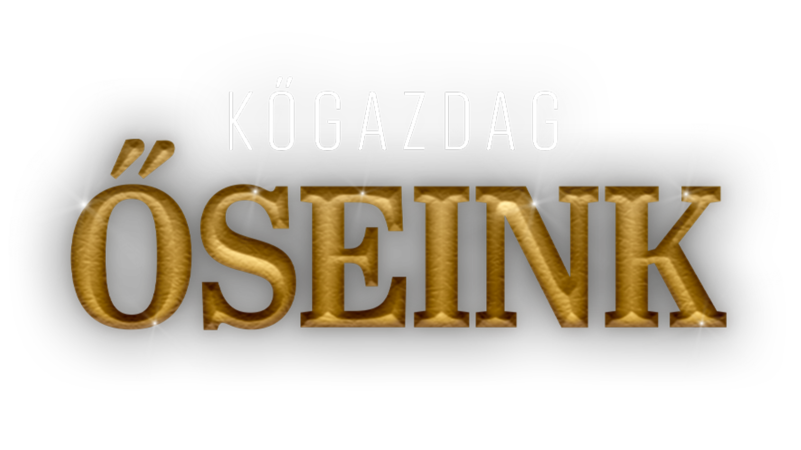 Kőgazdag őseink
