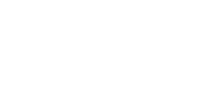 100 % rugby