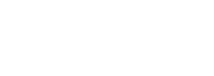 La brigade extraordinaire