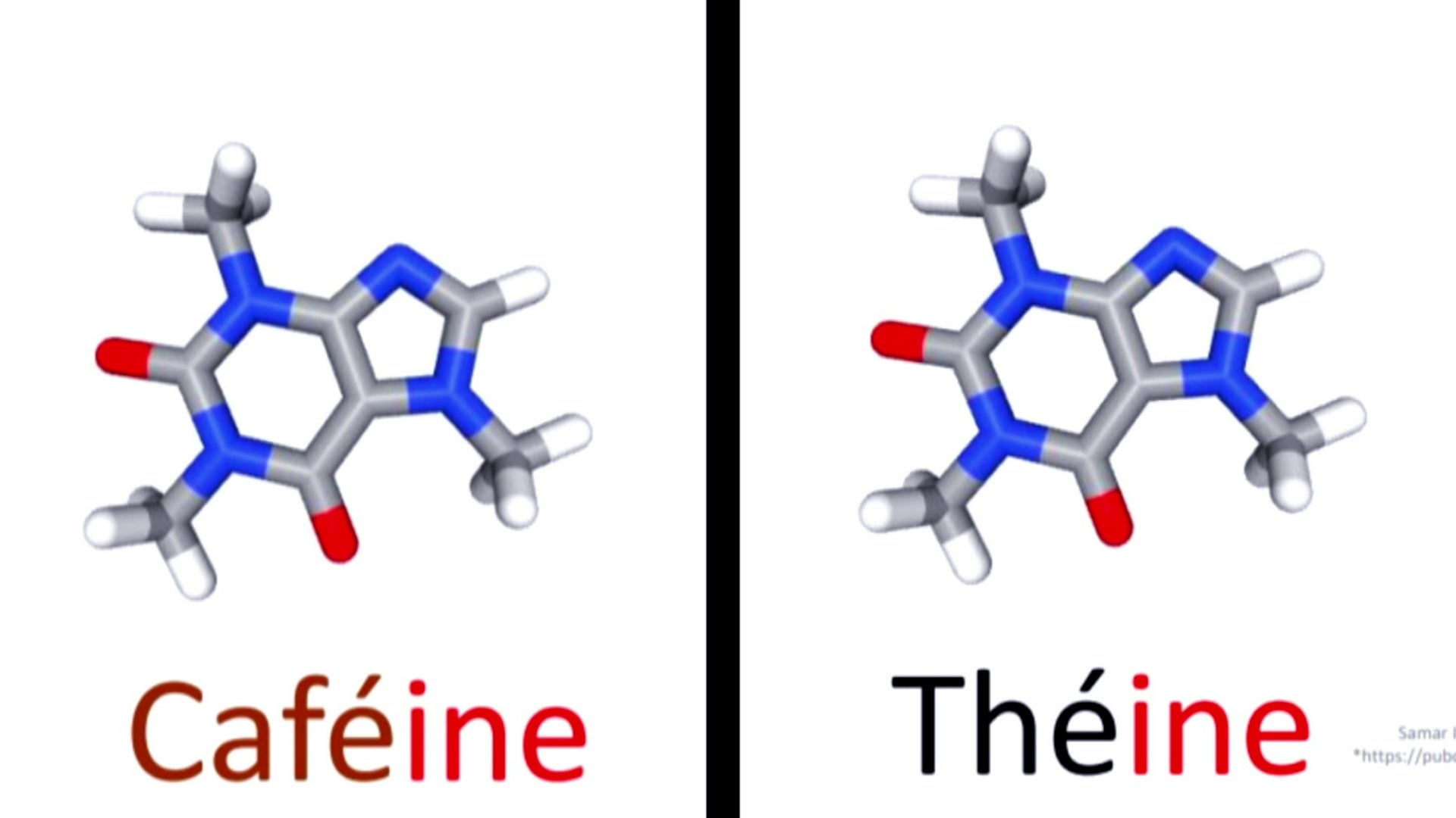 Beurre ou huile, thé ou café, viande rouge ou blanche : 3 matchs arbitrés par la science !