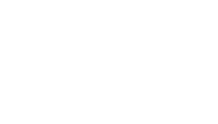 Un Noël de princesse