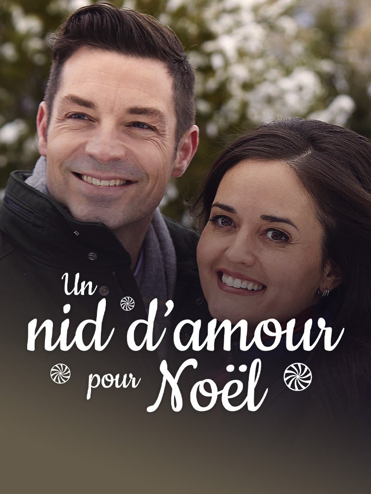 Un nid d'amour pour Noël