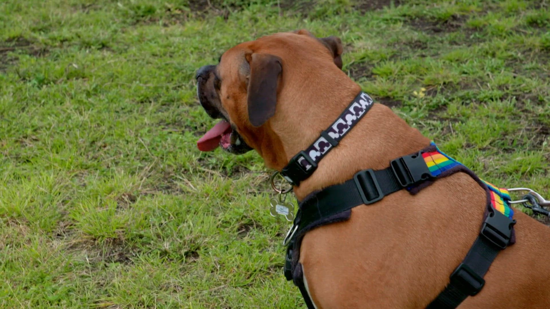 S2 E3 - Petit mais costaud