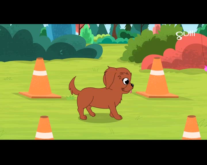 Le tournoi de disque volant