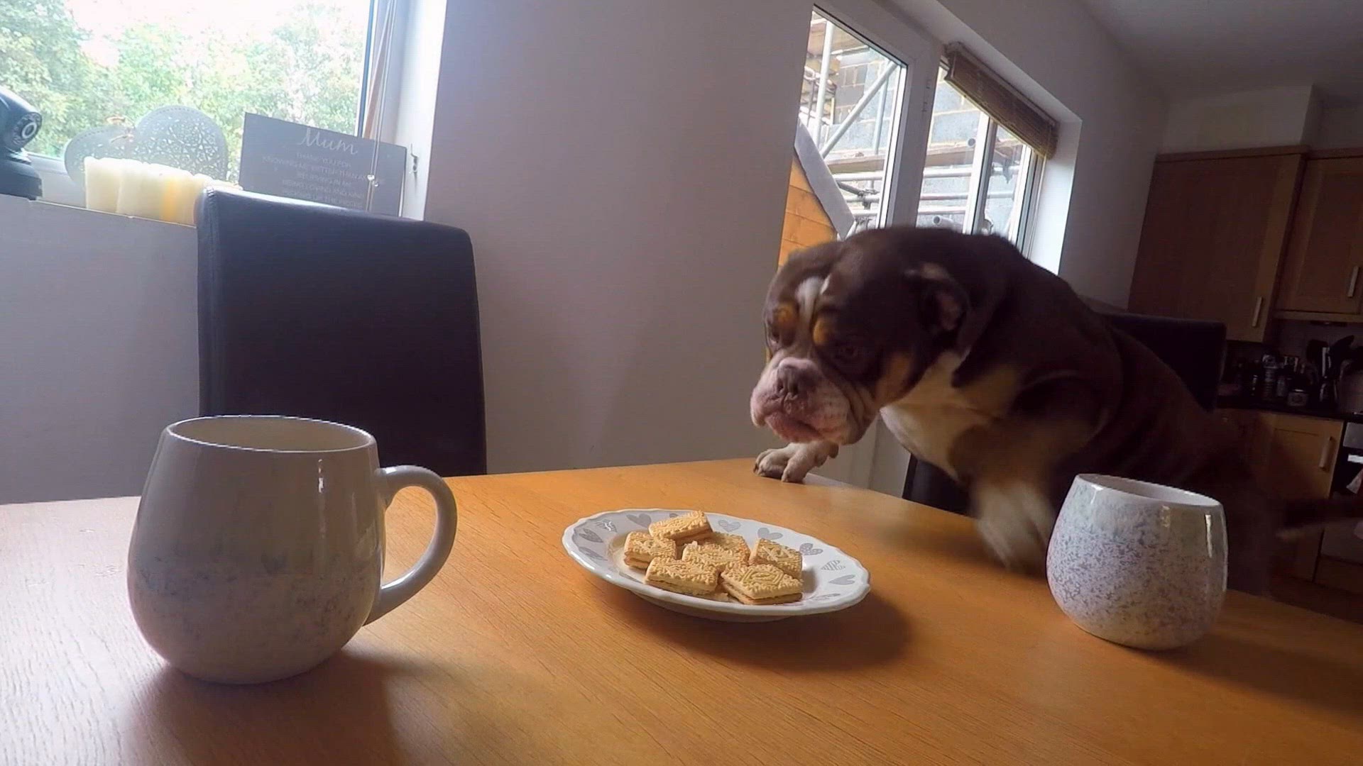 S2 E7 - Un accueil renversant