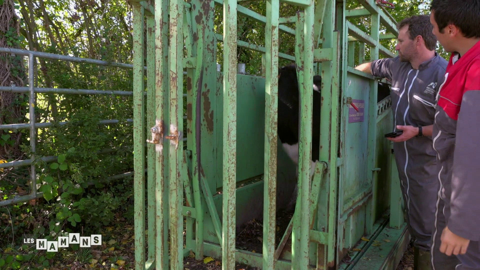 S2 E5 - Le gâteau d'anniversaire