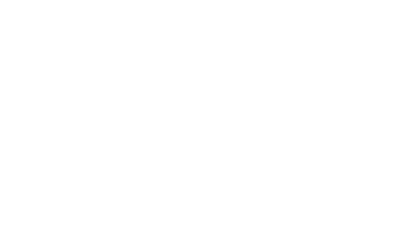 Joyeuse pagaille à Noël