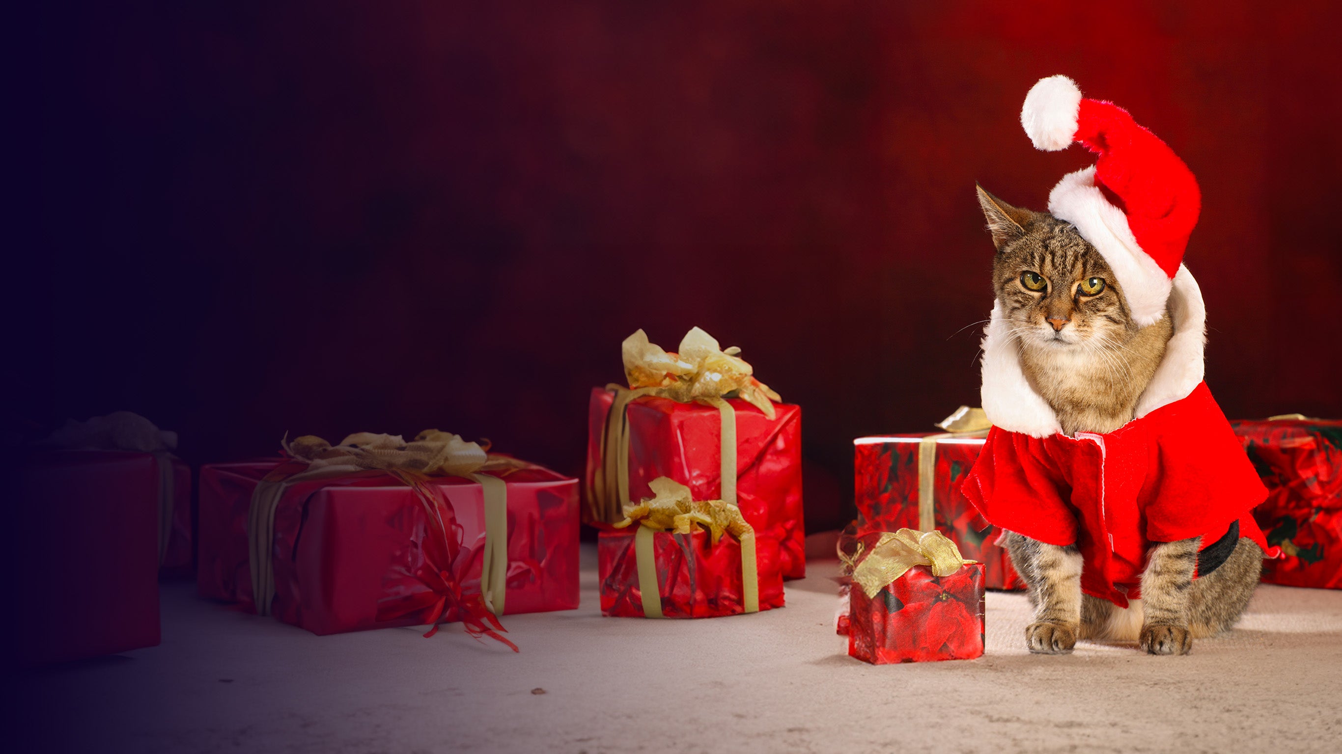 Le zapping du Père Noël