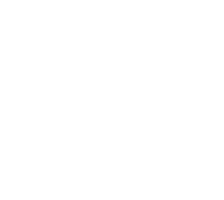 Un Noël de star
