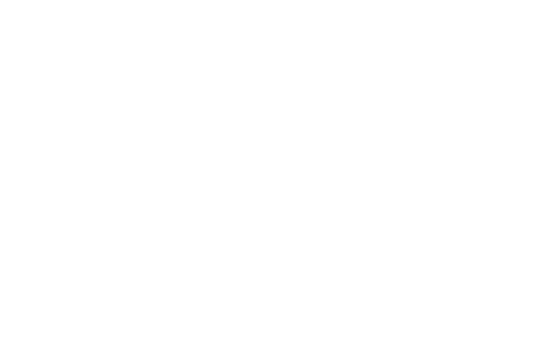 Une âme sœur pour Noël