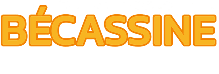 Bécassine, le trésor viking