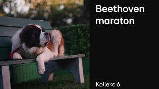 Beethoven maraton