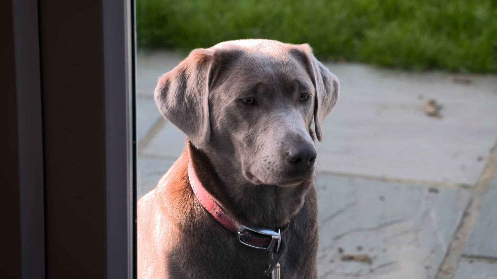 S3 E7 - Ce n'est qu'un au revoir