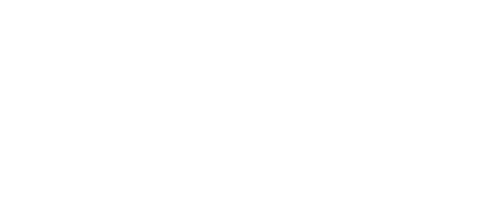 Le nouveau