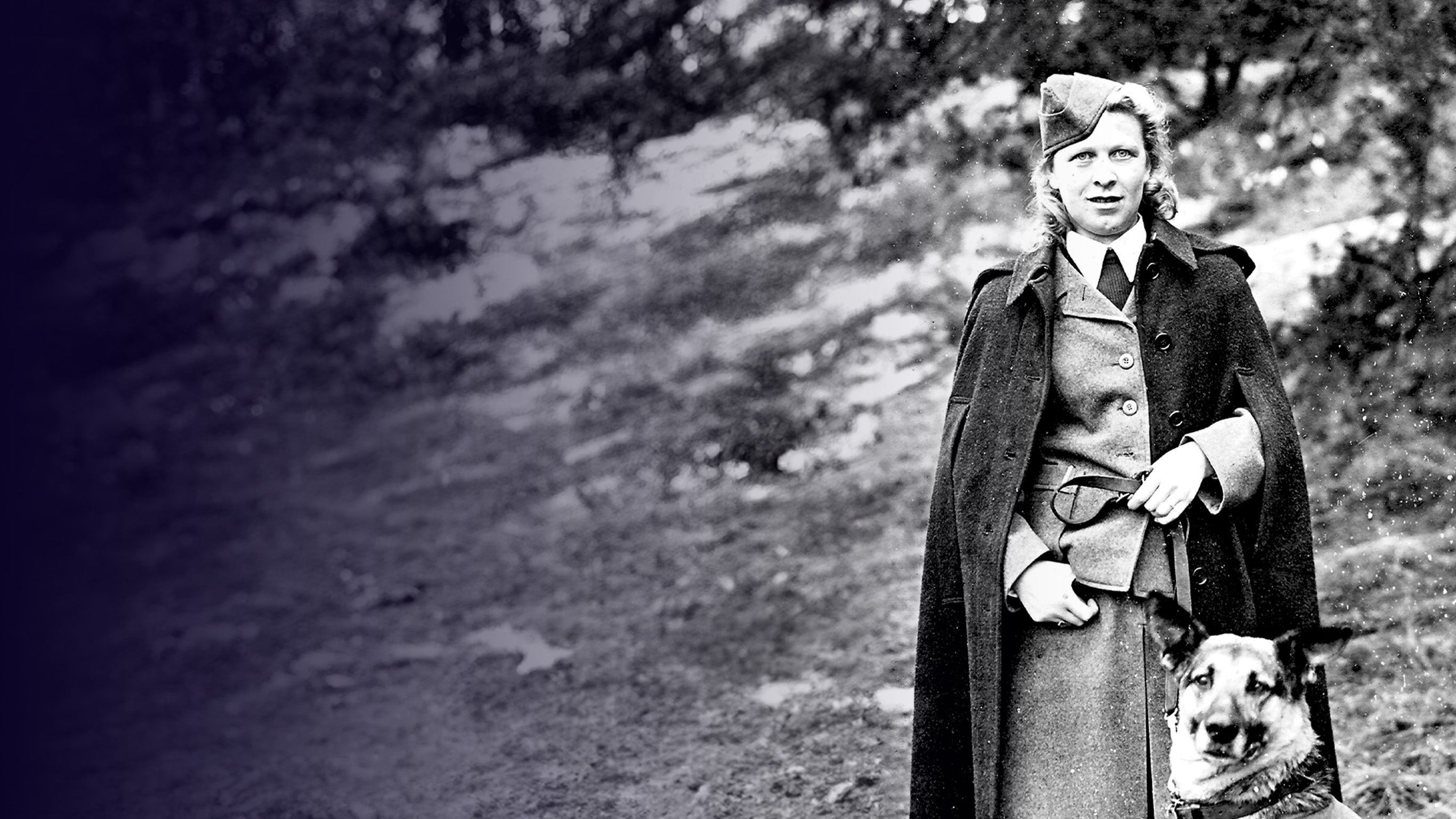 Des femmes au service du Reich