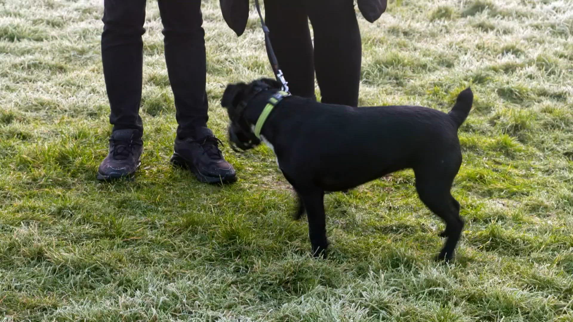 S3 E12 - Partir en vrille